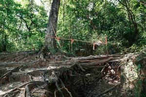 BIB: 
                            <button type="button" onclick="openModal(27799900)" class="btn btn-primary btn-sm float-right btn-popup" data-toggle="modal" data-target=".modal-high-quality">
                        <i class="fas fa-shopping-cart"></i> Add to Cart
                    </button>
                                            <button type="button" onclick="isThisMe(27799900, true)" class="btn btn-success btn-sm float-right btn-popup btn-isme hidden" data-toggle="tooltip" data-placement="bottom" title="นี่คือรูปของคุณใช่ไหม คลิกที่นี่เพื่อเอาเข้าอัลบั้ม">
                        <i class="fas fa-plus"></i> Add to album
                    </button>
                    <button type="button" onclick="isThisMe(27799900, false)" class="btn btn-warning btn-sm float-right btn-popup btn-isnotme hidden">
                        <i class="fas fa-ban"></i> Remove from album
                    </button>